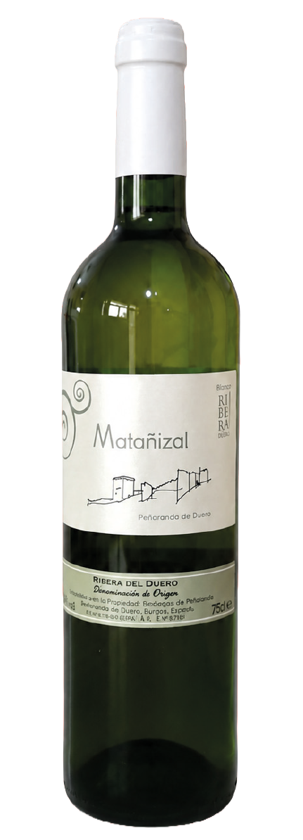 MATAÑIZAL