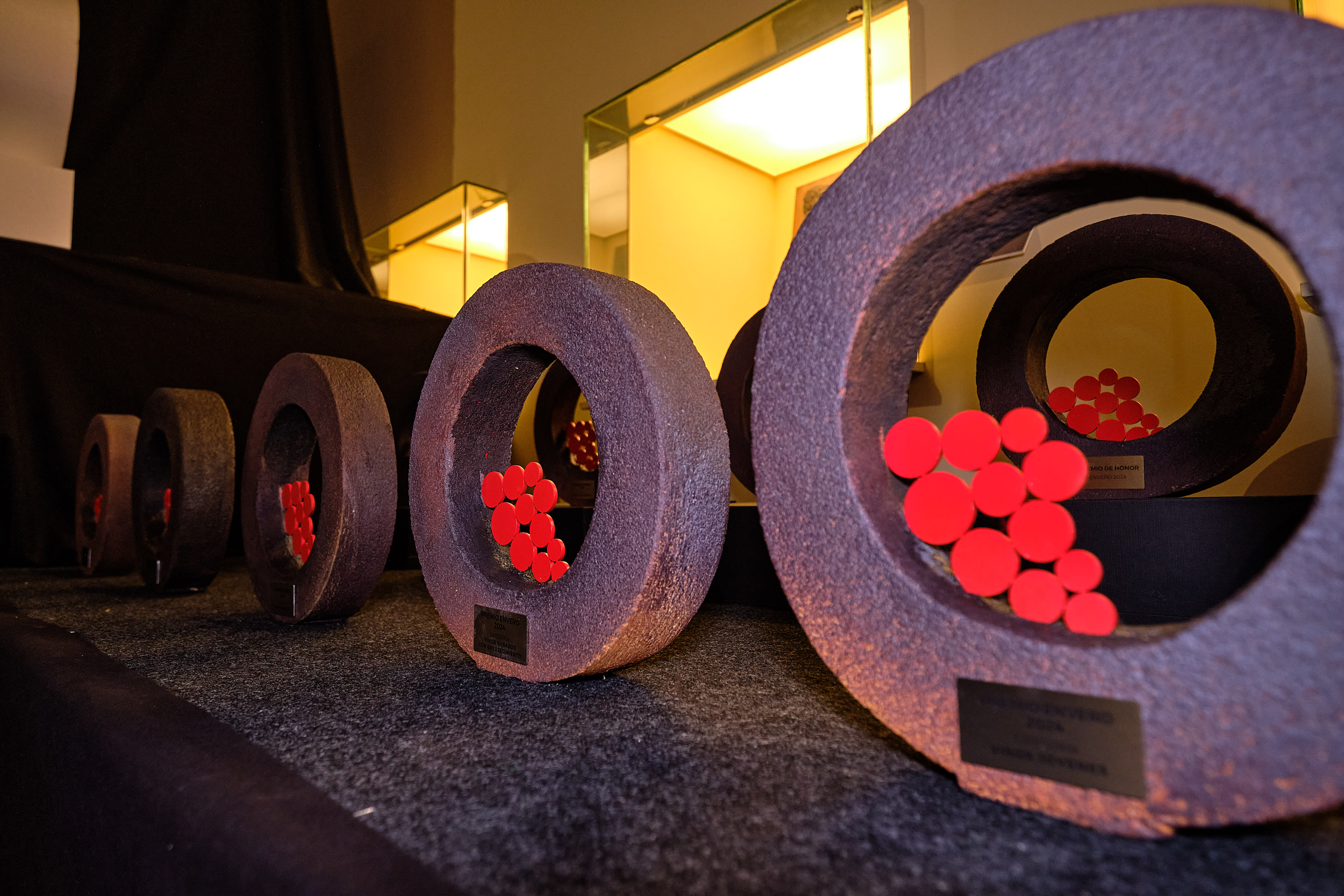 Gala Premios Envero 2024