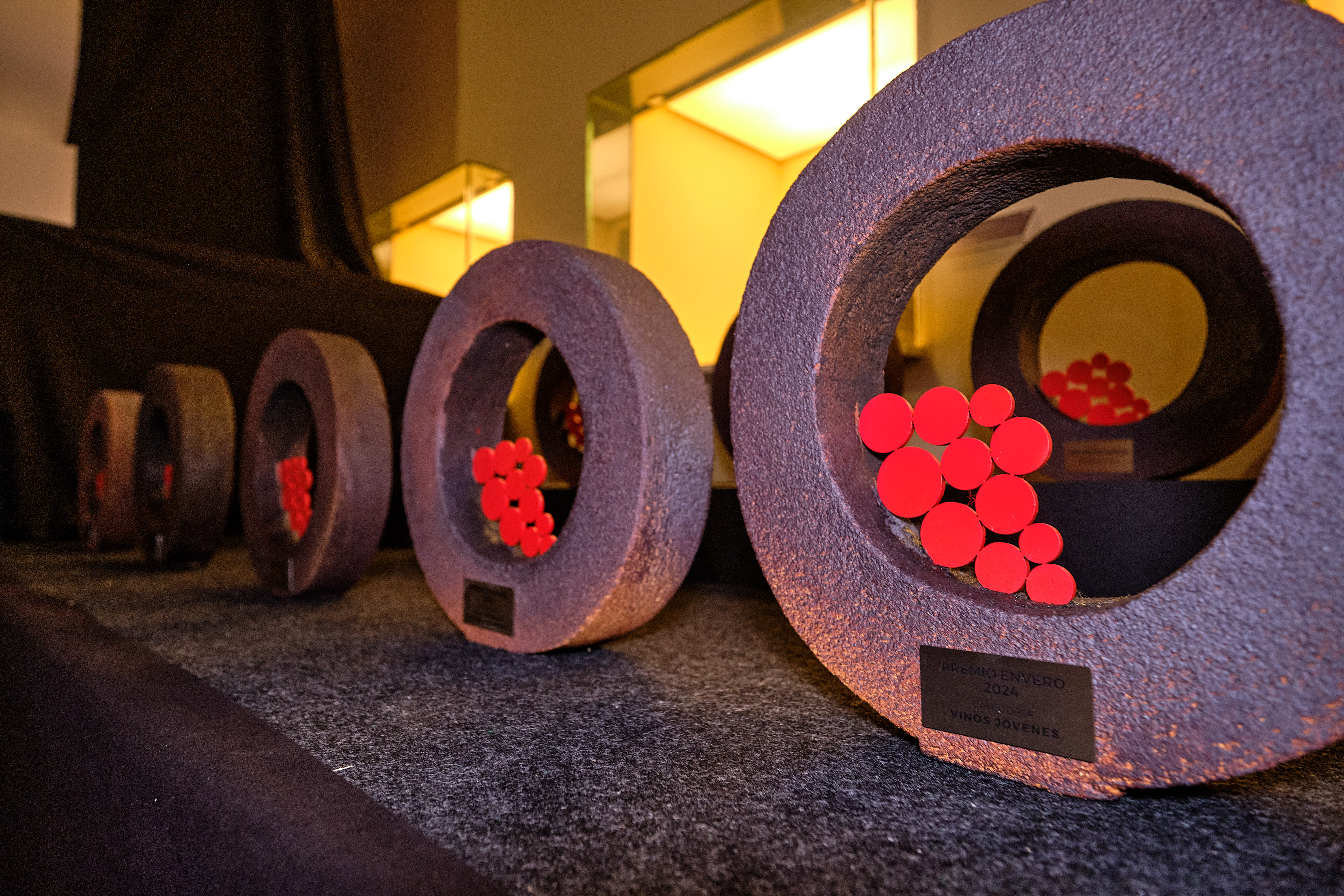 Gala Premios Envero 2024