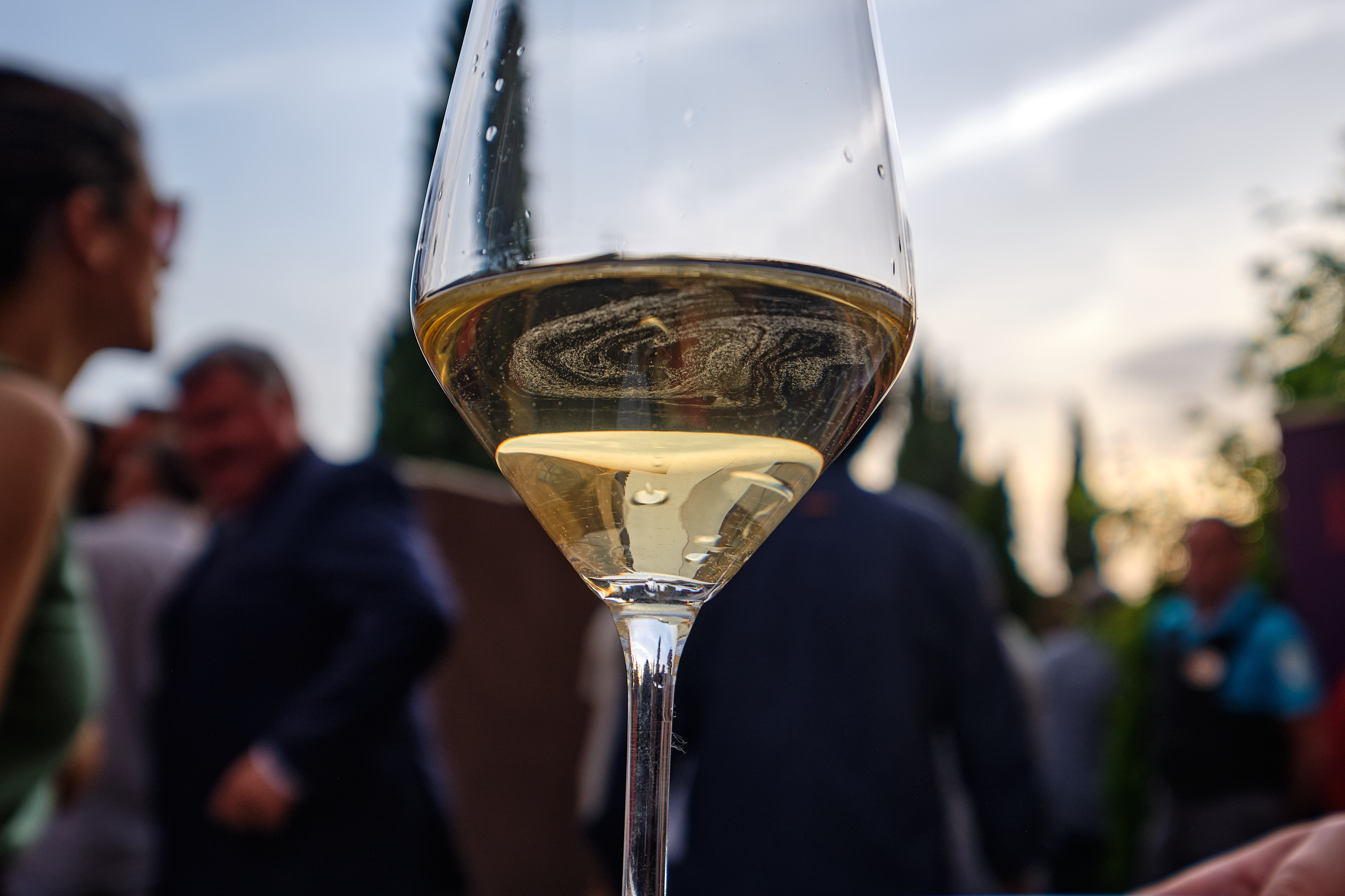 Gala Premios Envero 2024