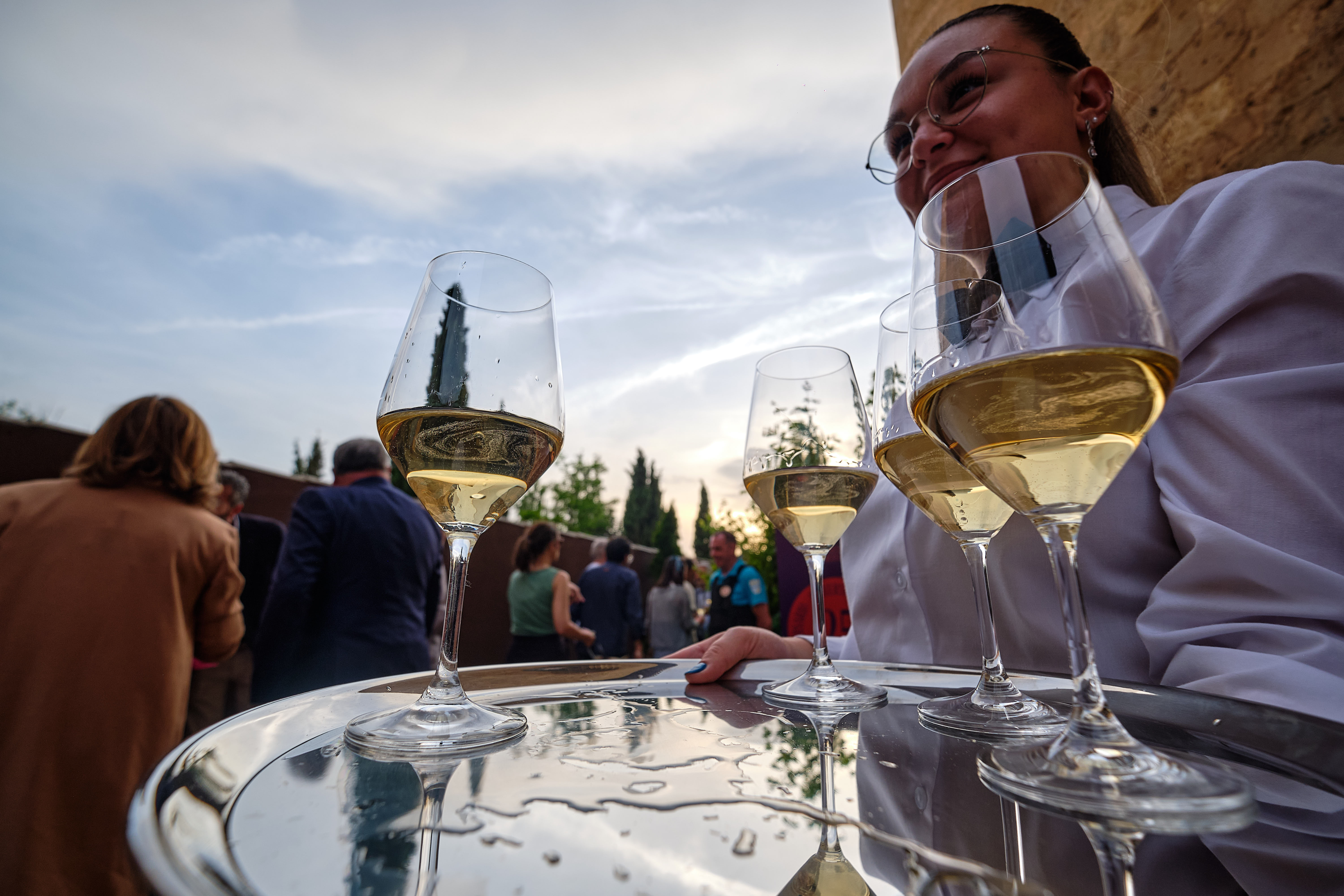 Gala Premios Envero 2024