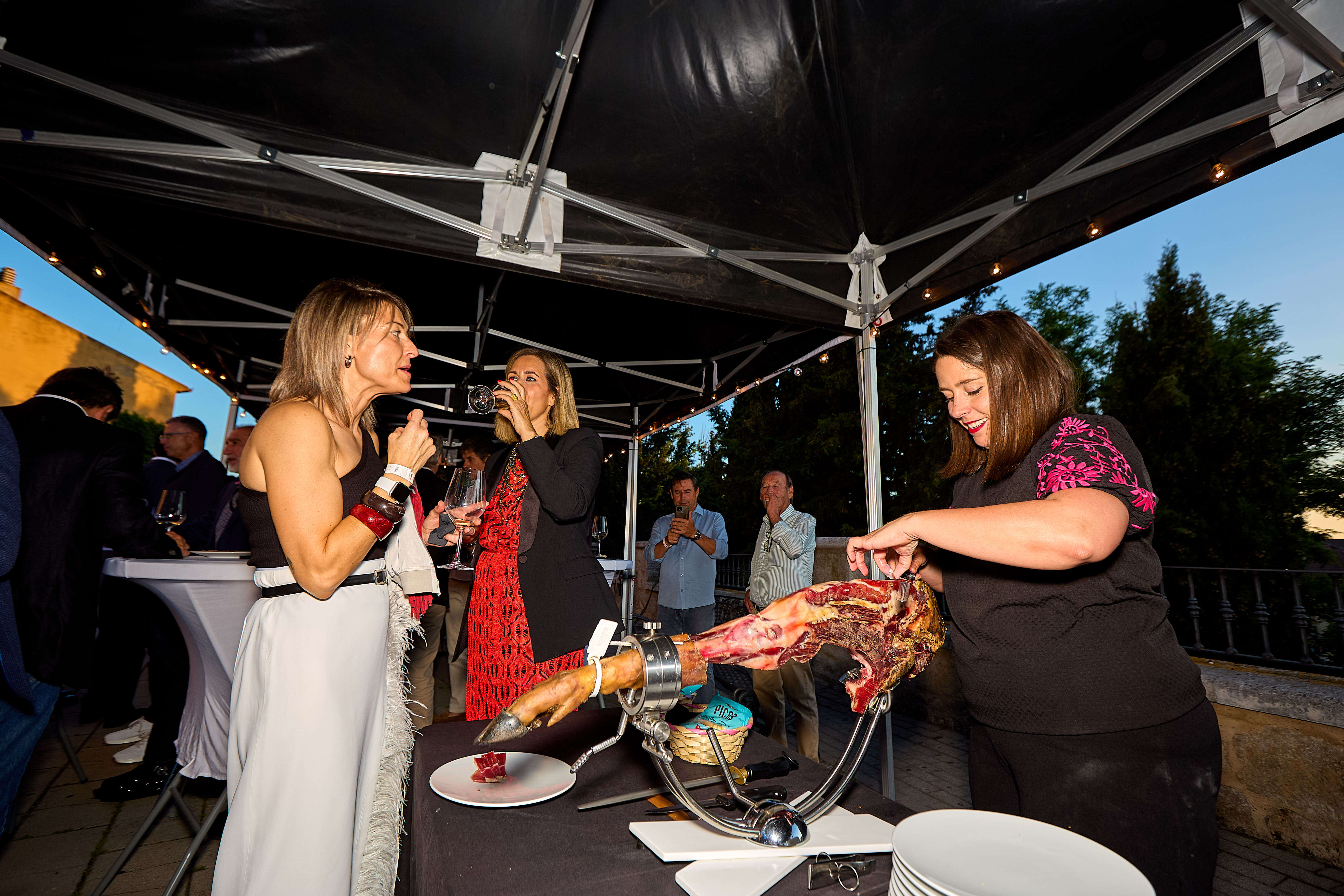 Gala Premios Envero 2025